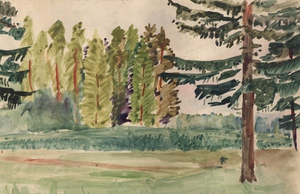 Лесной пейзаж.