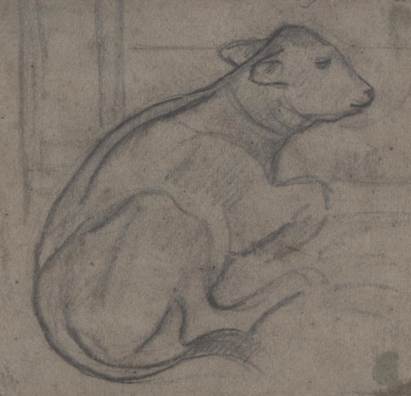 Лежащий телёнок.