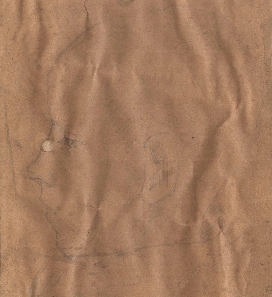 Голова мальчика.