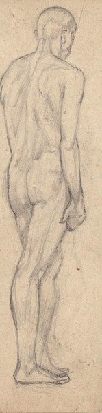 Стоящий обнажённый натурщик. 