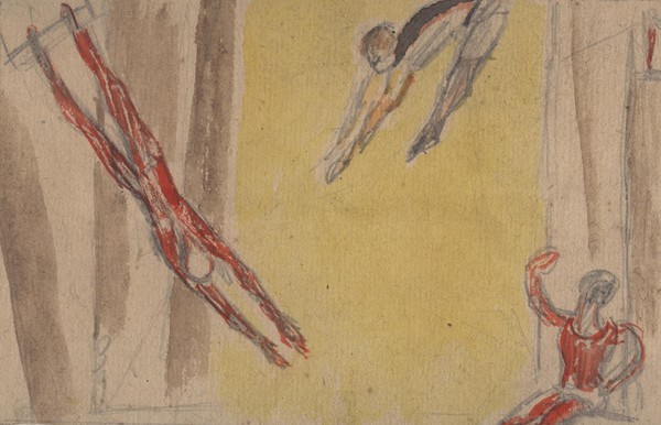 Воздушные гимнасты