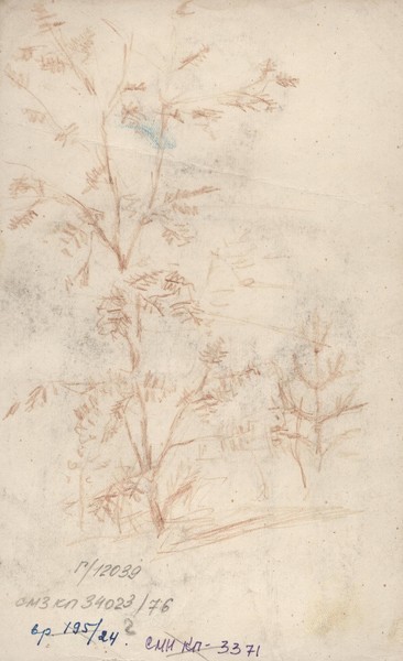 Стоящий обнажённый натурщик. (На обороте "Пейзаж с двумя деревьями").