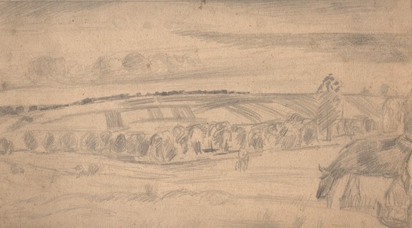 Коровы на лугу.