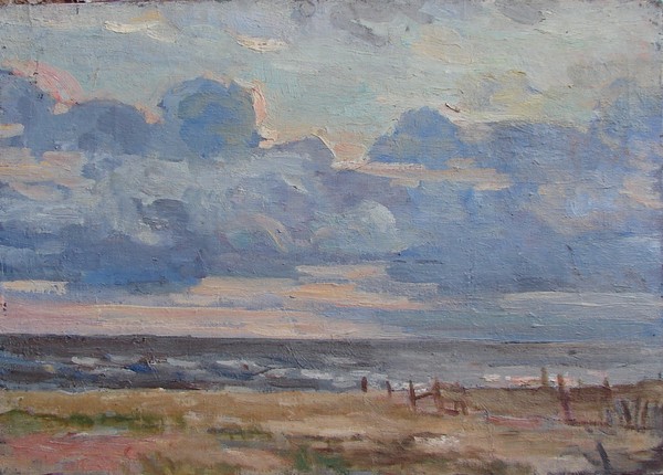 Финский залив. Ветренный день.