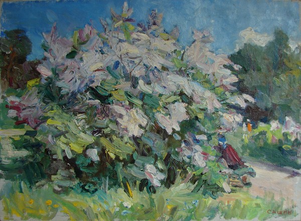 Сиреневый куст.