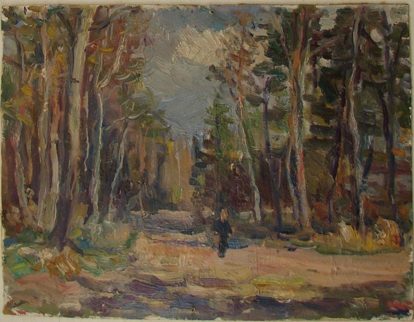 Дорога в лесу.